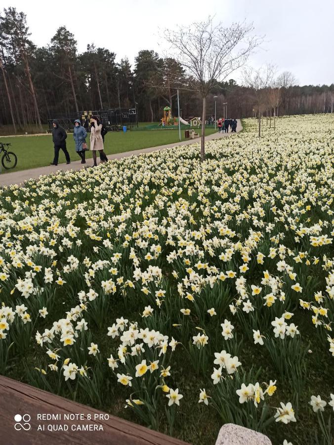 Nelli Apartamentai Druskininkai Luaran gambar